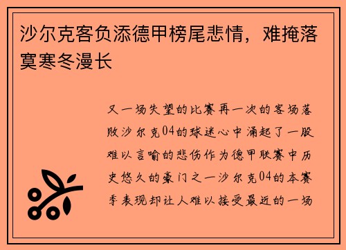 沙尔克客负添德甲榜尾悲情，难掩落寞寒冬漫长